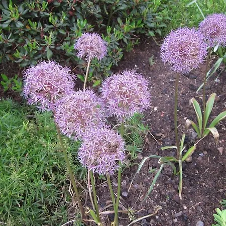 홈스테이 Au Calme En Ardenne *