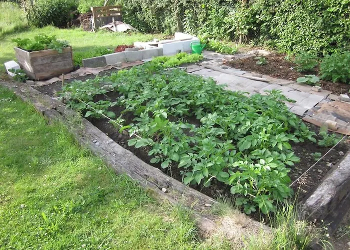 Au Calme En Ardenne *