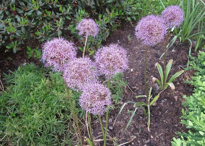 בית אירוח Au Calme En Ardenne *