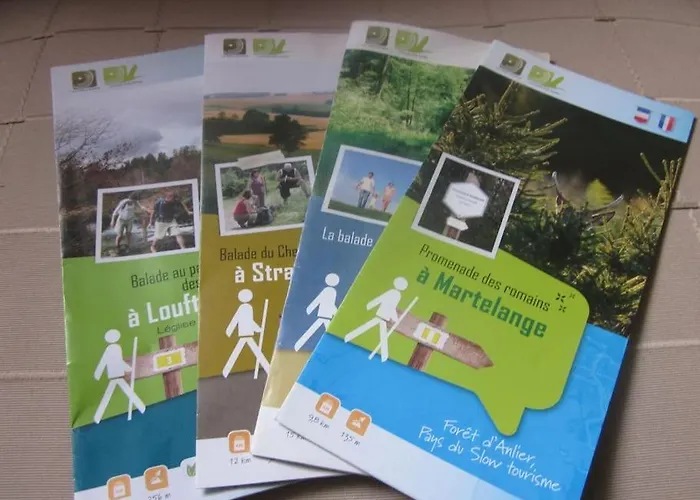 Au Calme En Ardenne * 福维莱尔斯