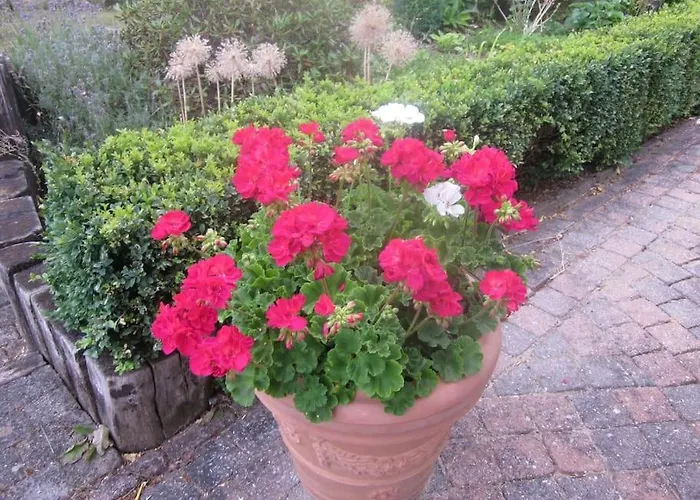 民宿 Au Calme En Ardenne *