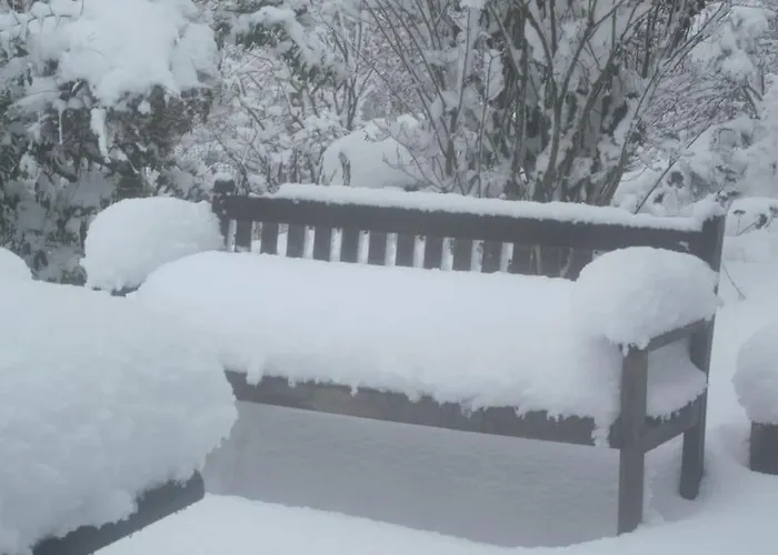 בית אירוח Au Calme En Ardenne