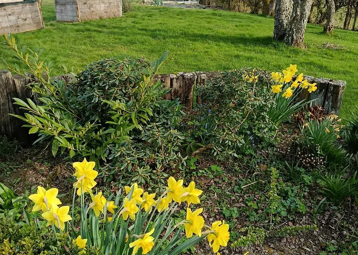 Au Calme En Ardenne 民宿 *